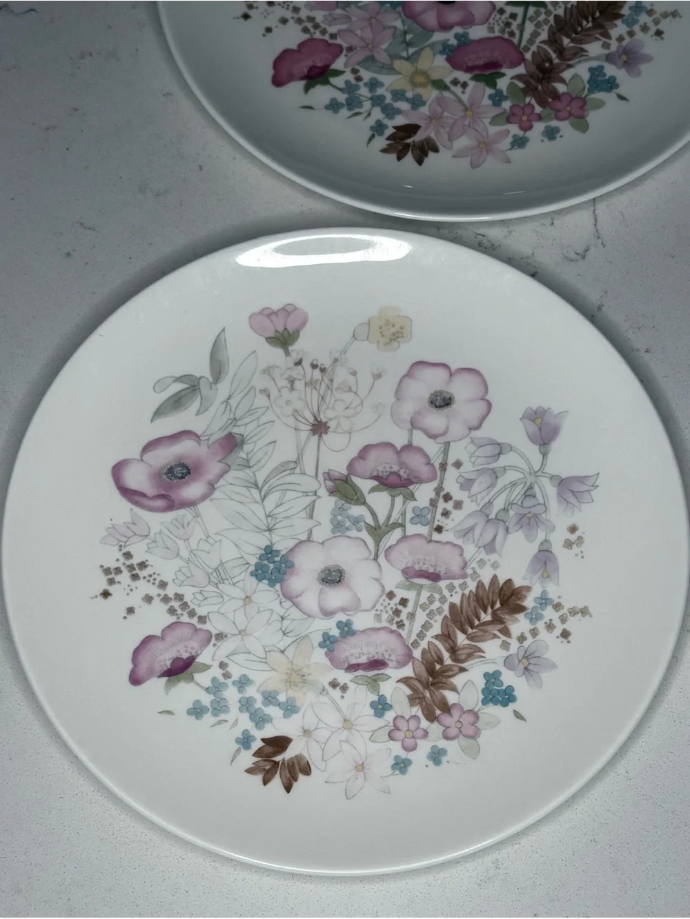 Wedgwood “Meadow Sweet” Porcelain Salad Plates (Set of 4)